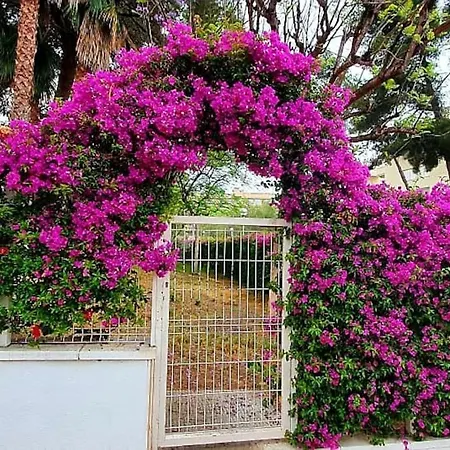 Golden Pineda Family Complex With Parking * Σαλού